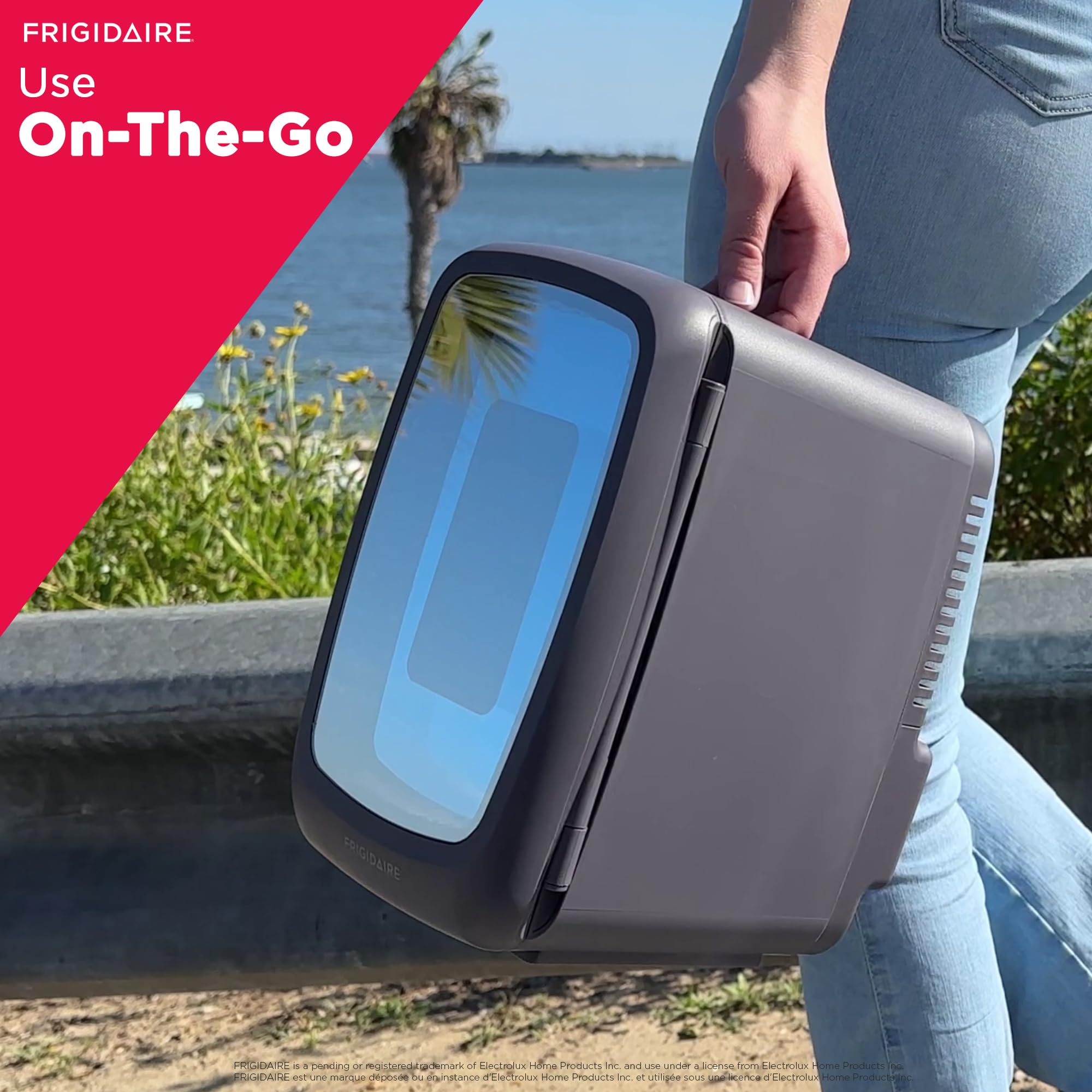 Frigidaire Gaming Light Up Mini Beverage Refrigerator, 6 can, 4 liters, Cooler with large see through door and LED lights Perfect for Gaming Experience, Home, Office, or Cars.12V Charger (Stealth) - Something DifferentFrigidaireB0BGYK6SVQ